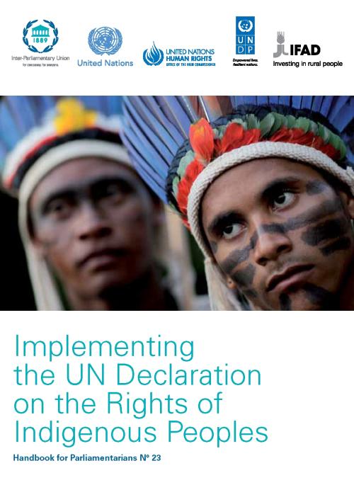 Implementing The UN Declaration On The Rights Of Indigenous Peoples ...